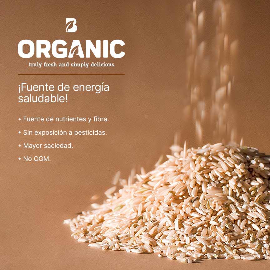 Imagen de Arroz Integral Orgánico | 2 kg