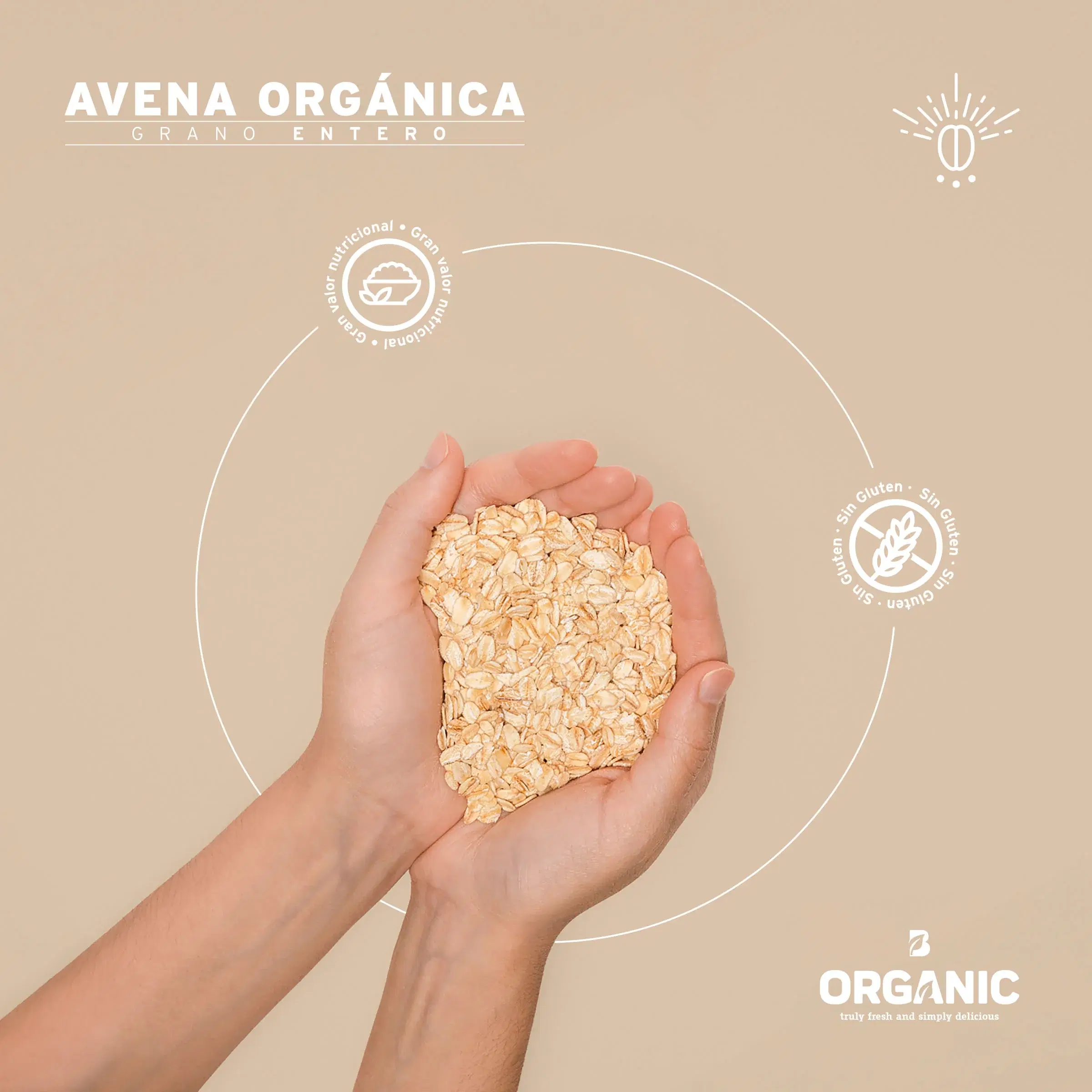 Imagen de Avena Orgánica Sin Gluten | 2 Kg