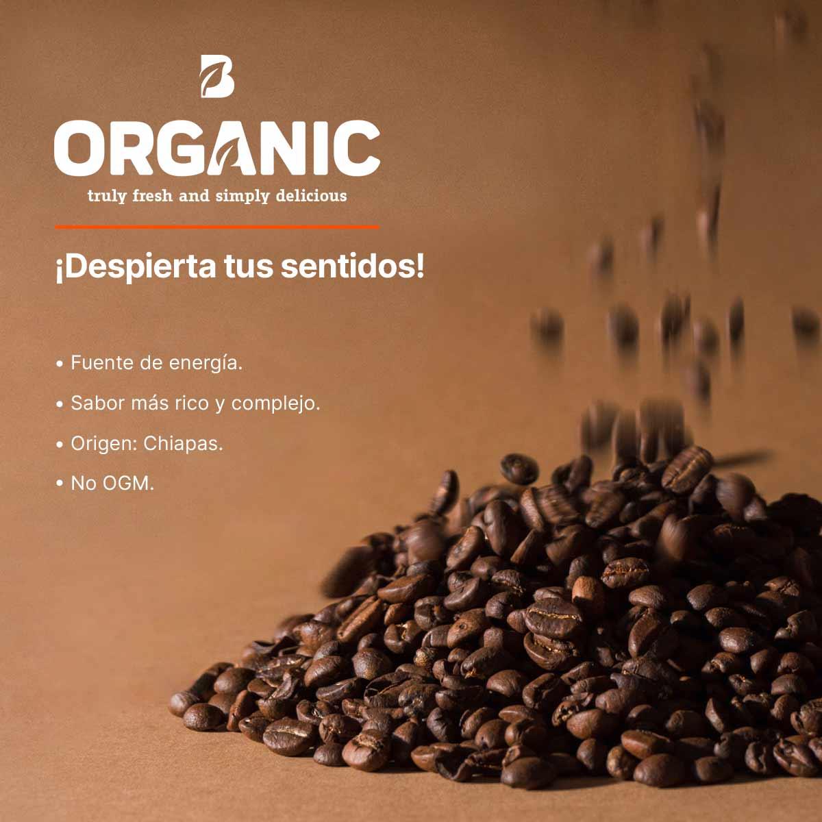 Imagen de Café en Grano Orgánico | 1 kg