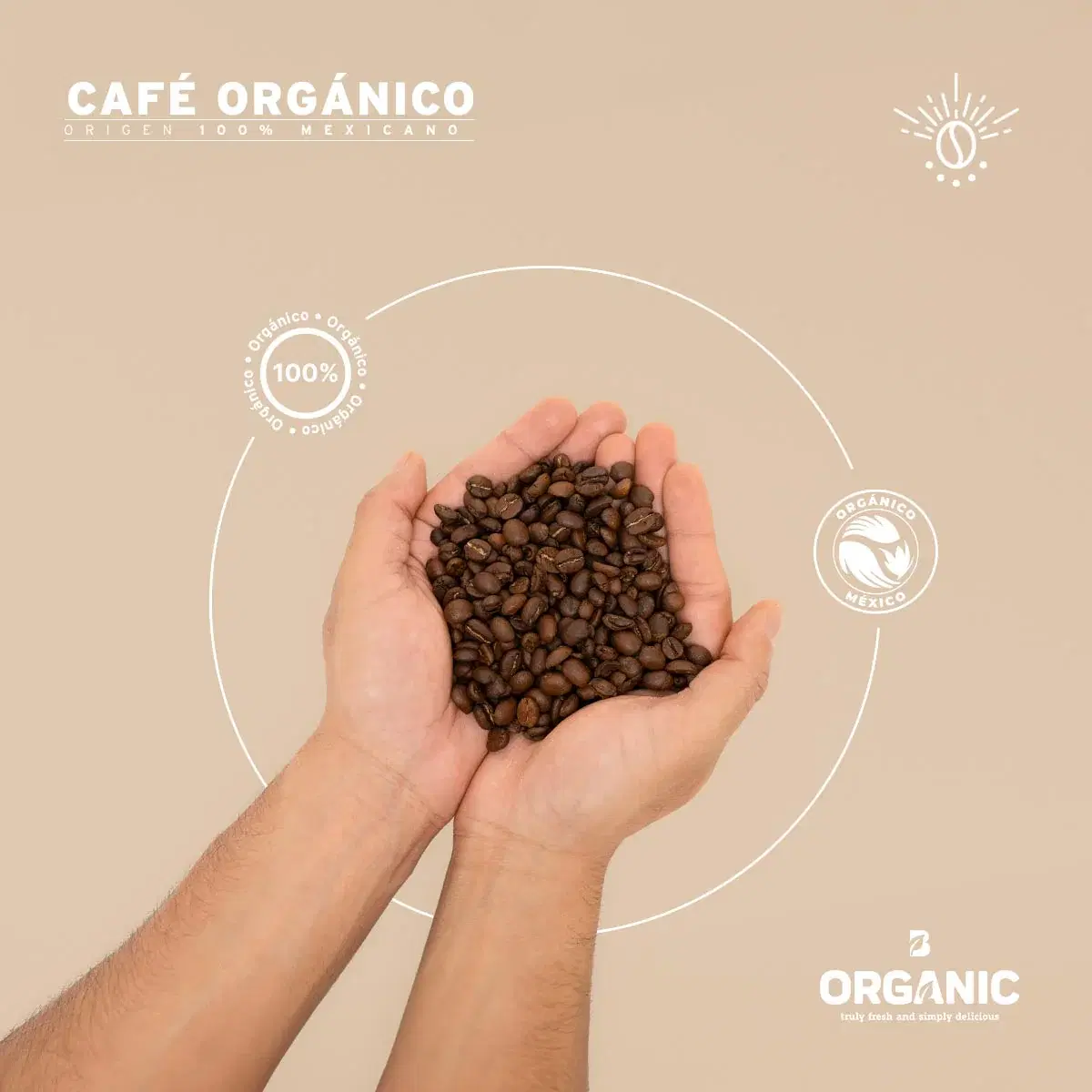 Imagen de Café en Grano Orgánico | 1 kg