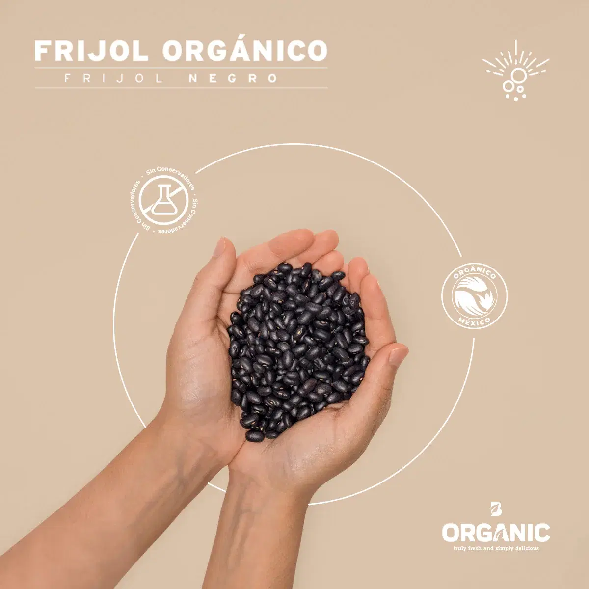 Imagen de Frijol Negro Orgánico | 2 kg