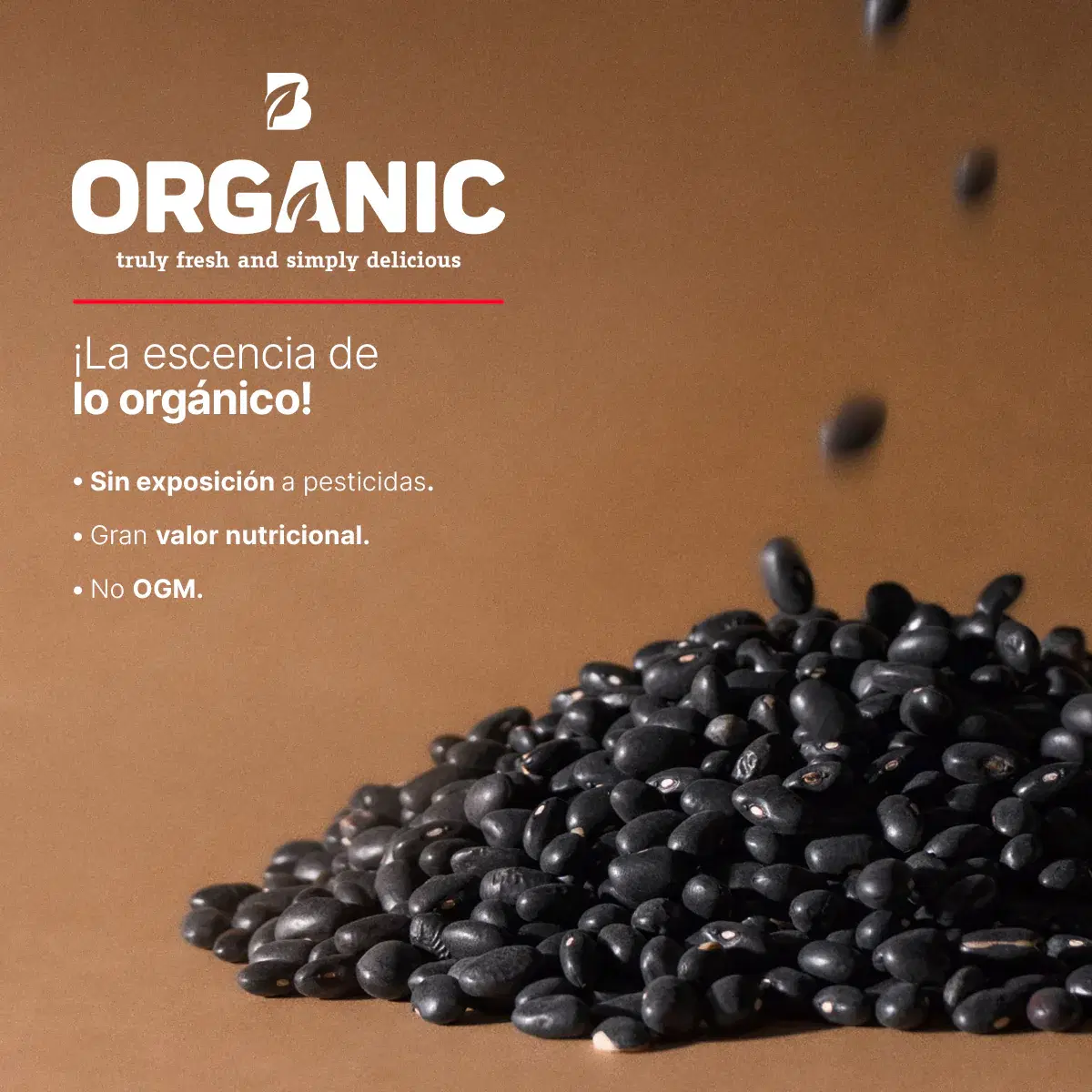 Imagen de Frijol Negro Orgánico | 2 kg