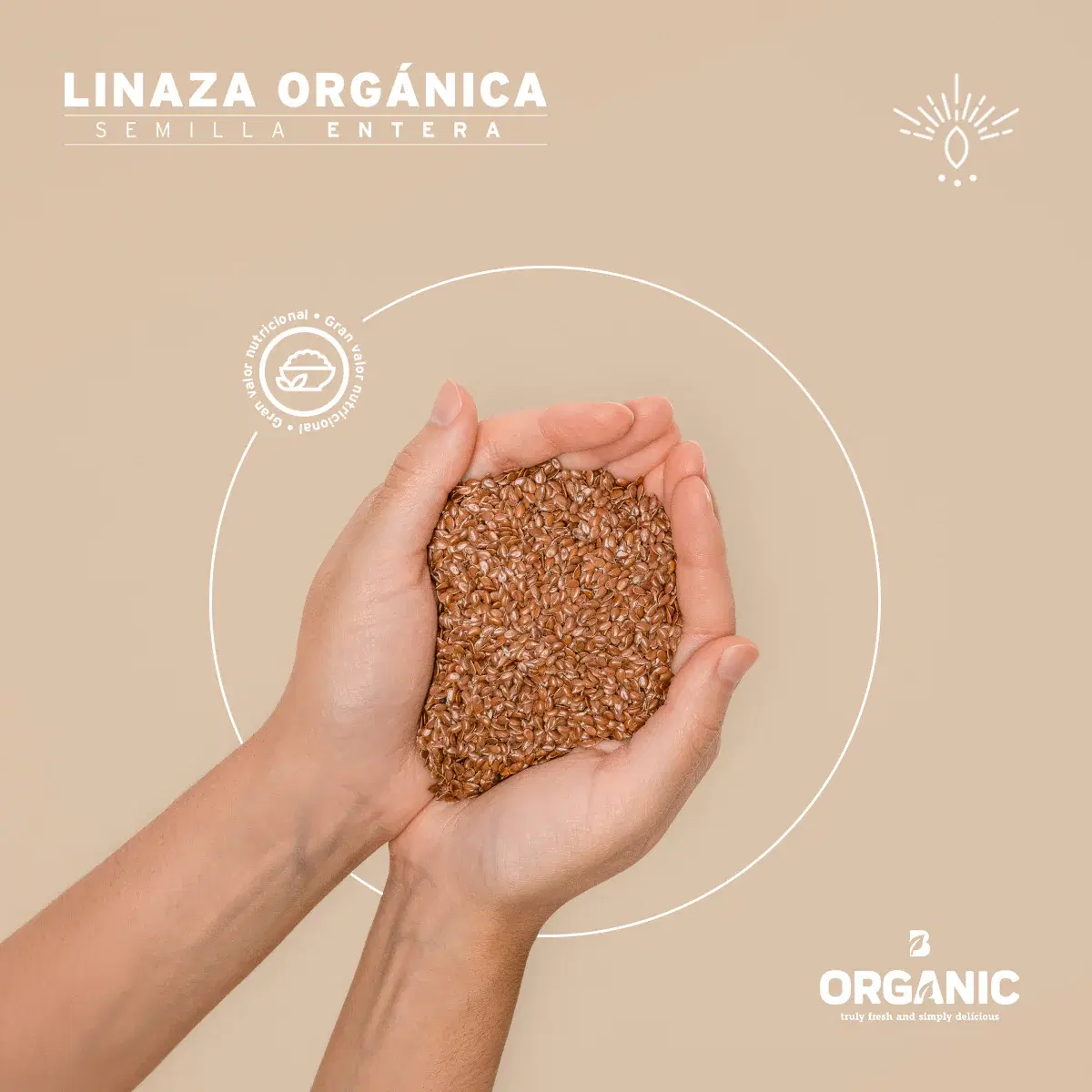 Imagen de Linaza Orgánica | 1 kg