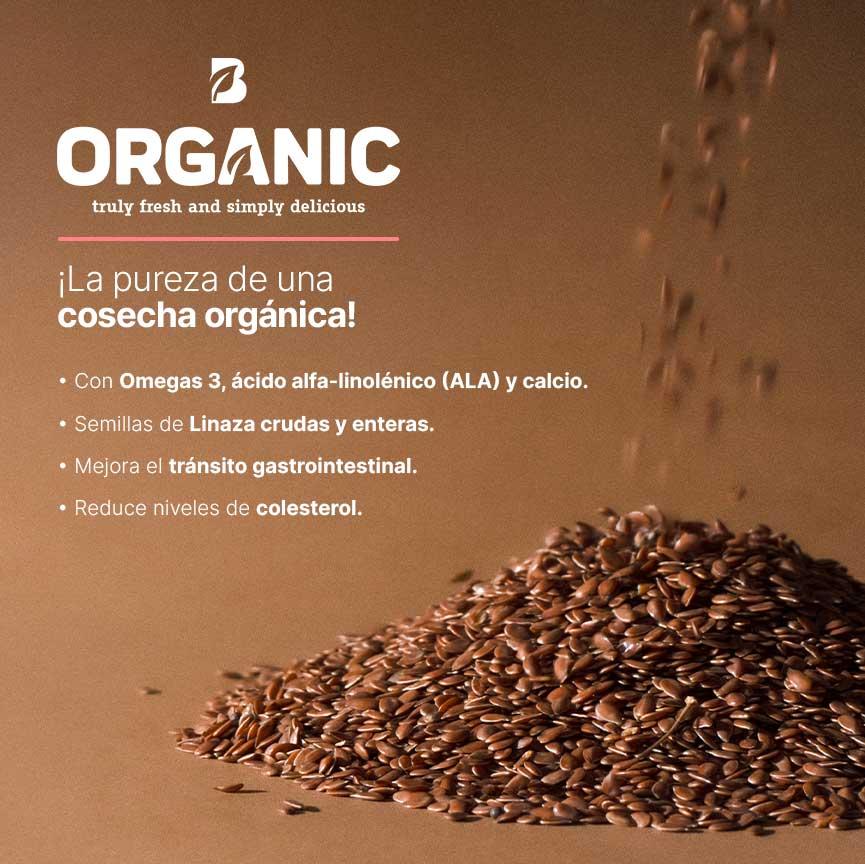 Imagen de Linaza Orgánica | 1 kg