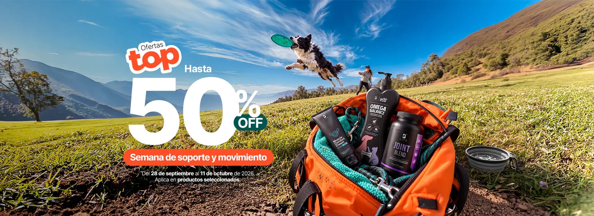 Ofertas Top