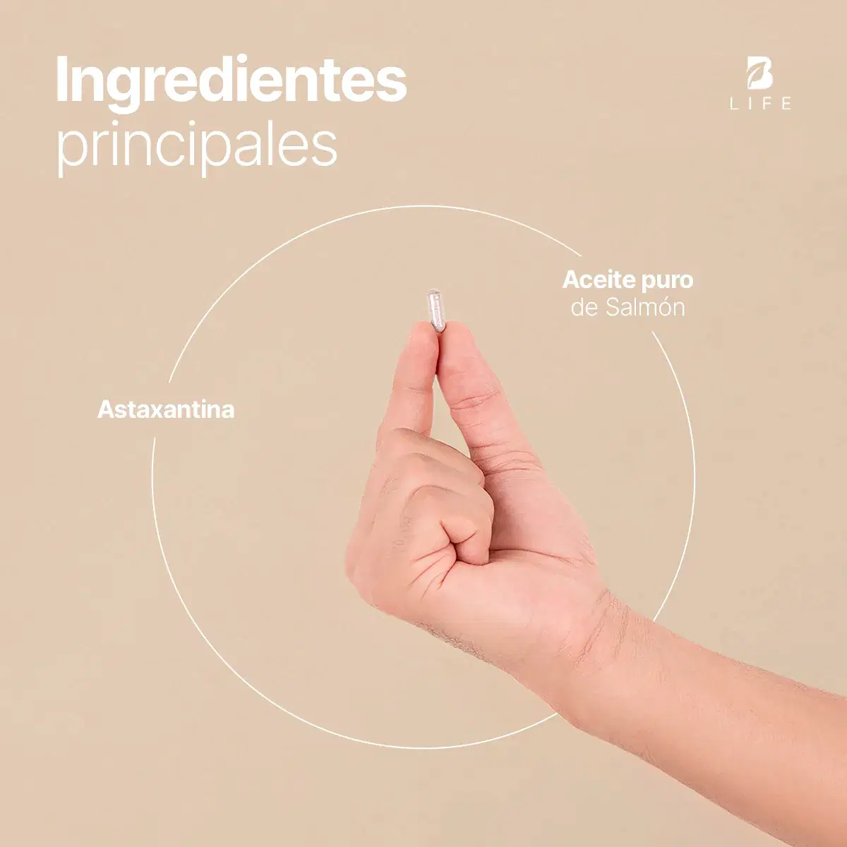 Imagen de Astaxantina | con Aceite de Salmón | 180 cápsulas