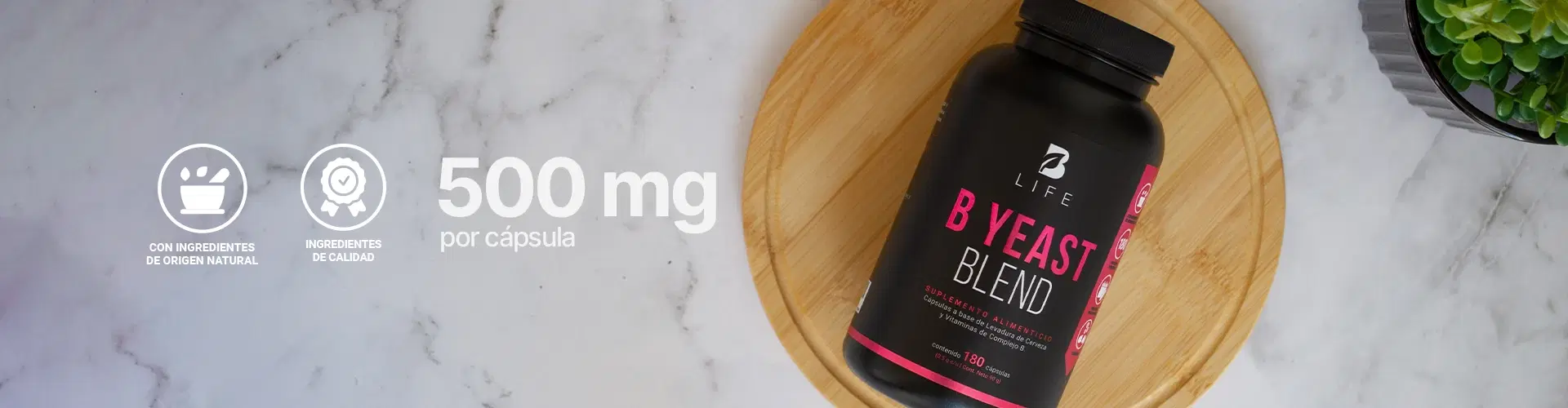 Descubre más productos para tu bienestar Descubre más productos para tu bienestar