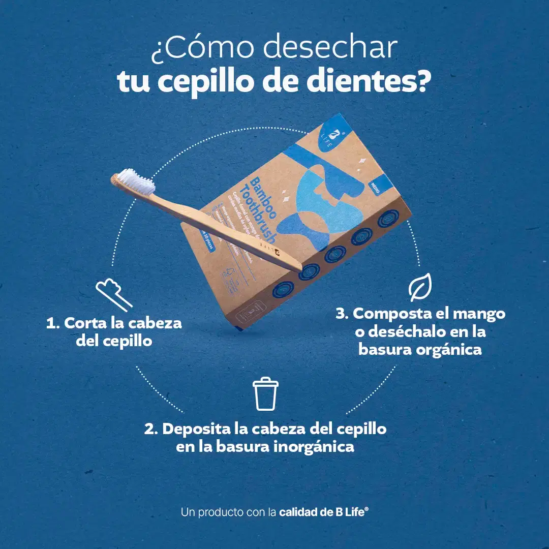 Imagen de Bamboo Toothbrush | Cepillos Dentales de Bambú 10 o 20 Piezas