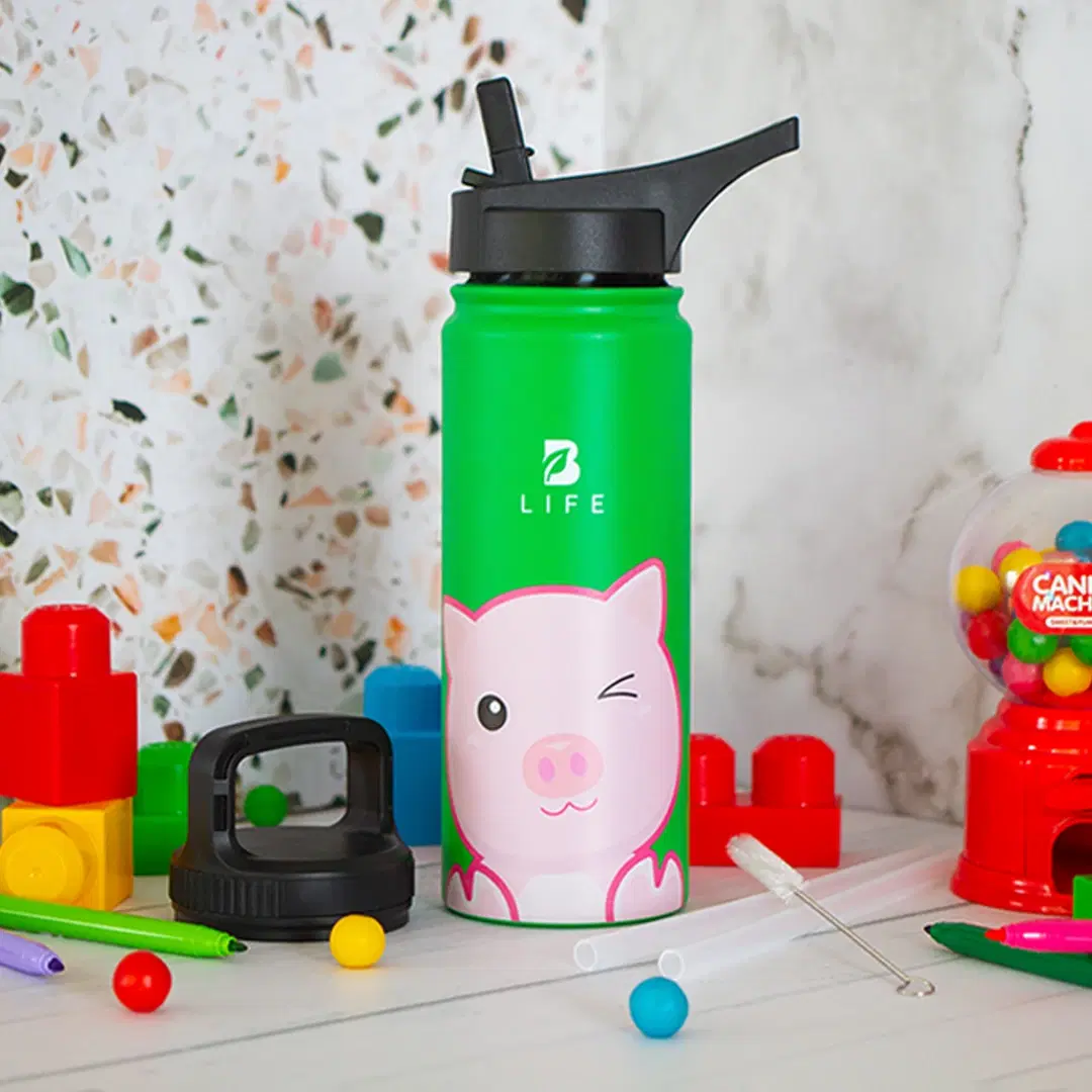 Imagen de Botella Térmica Para Niños | Chanchito 355 y 532 ml