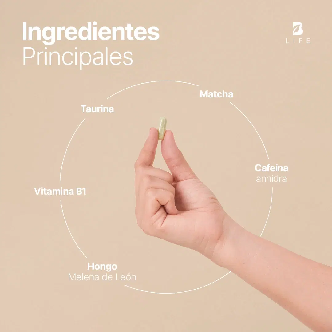 Imagen de Cafeína Anhidra | con Matcha, Melena de León, Taurina y Vitamina B1 | 240 Cápsulas