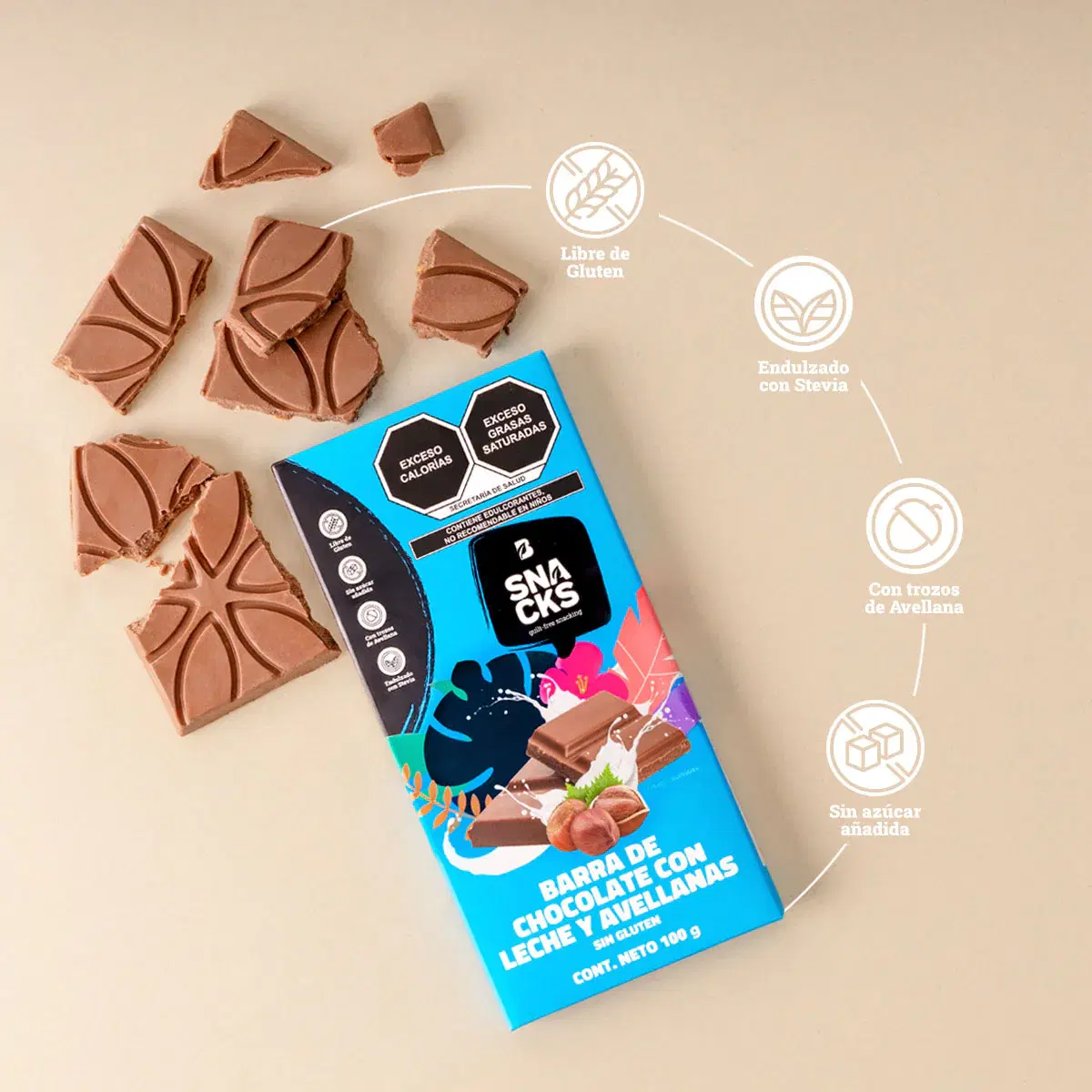 Imagen de Chocolate con Leche y Avellanas Individual, 6 piezas, 12 piezas 100 g c/u