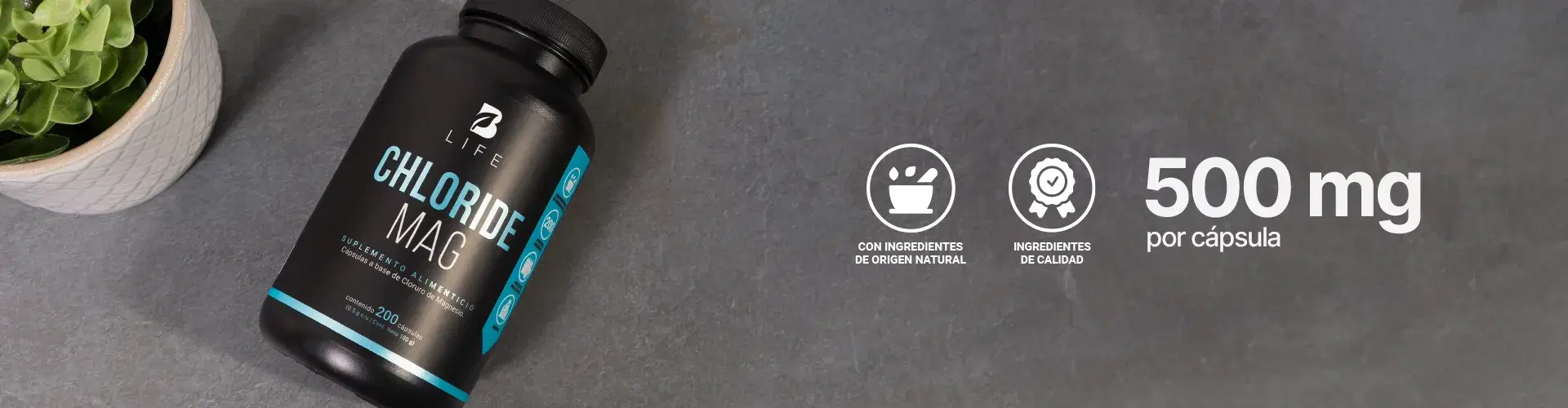 Descubre más productos para tu bienestar Descubre más productos para tu bienestar