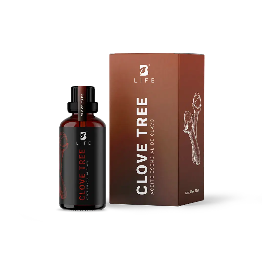 Imagen de Clove Tree Essential Oil | Aceite esencial de Clavo 50 ml