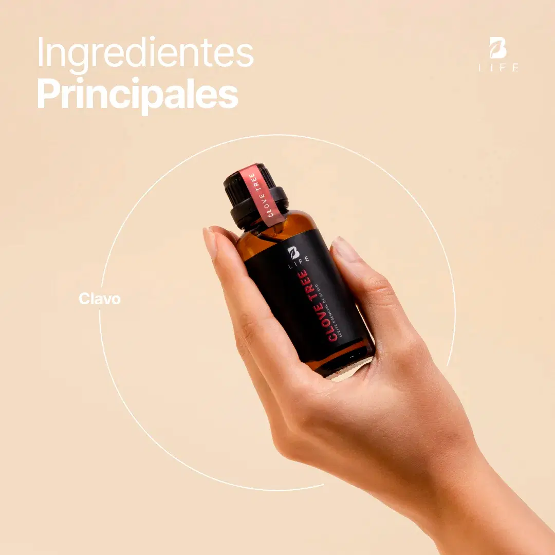 Imagen de Clove Tree Essential Oil | Aceite esencial de Clavo 50 ml