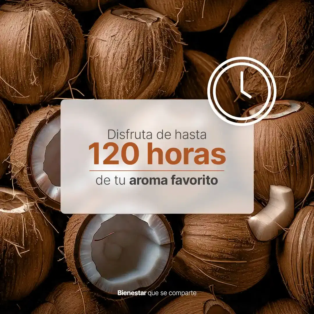 Imagen de Coconut Wood Aromatic Candle | Vela Aromática Coco y Sándalo 600 g