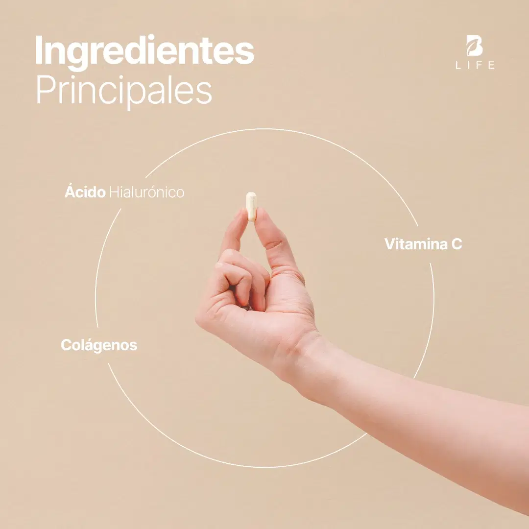 Imagen de Mezcla de colágenos | Tipo I,II,III,V y X | con Vitamina C