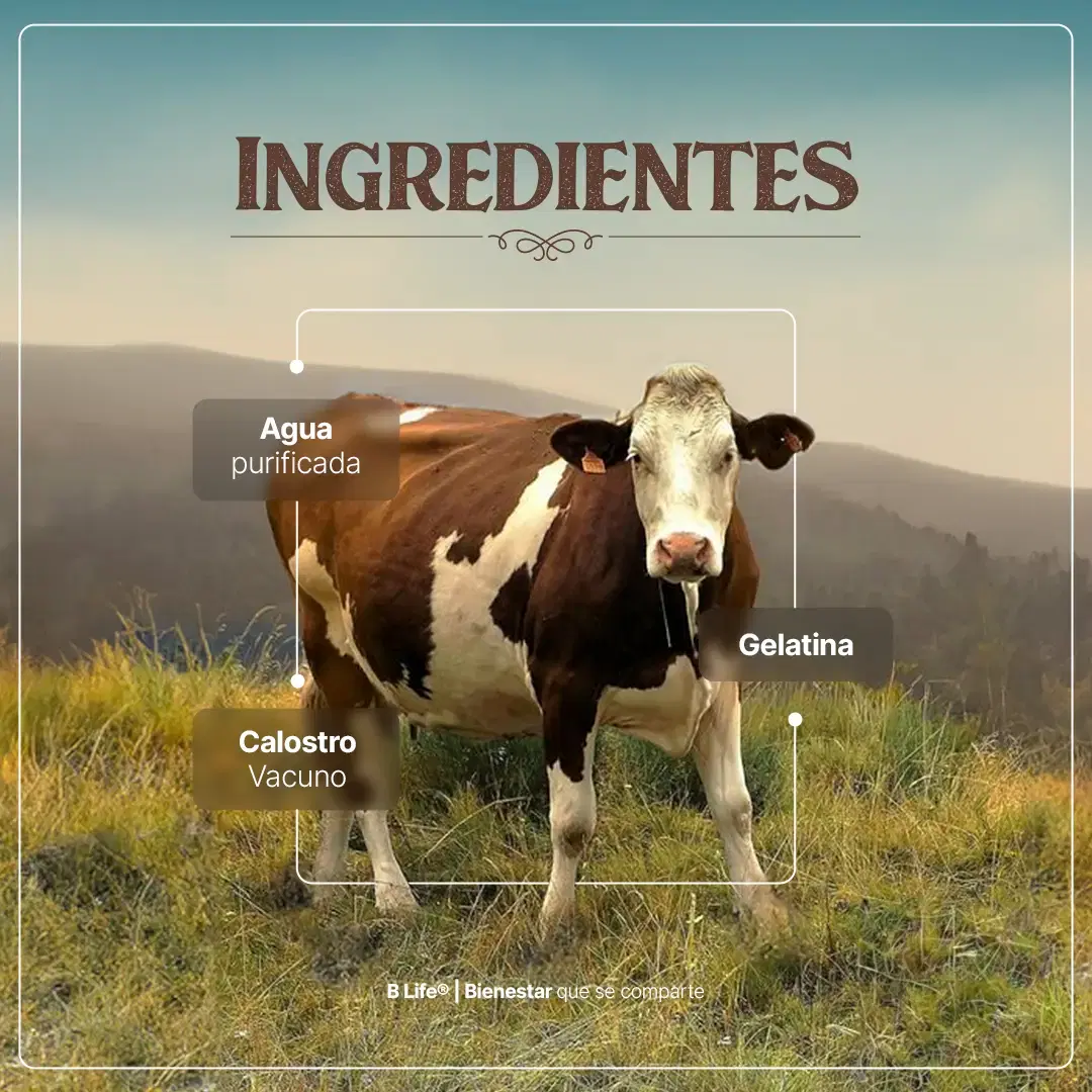 Imagen de Calostro Vacuno | Concentrado de Nutrientes de la Primera Lactancia | 240 Cápsulas | 1400 mg por porción