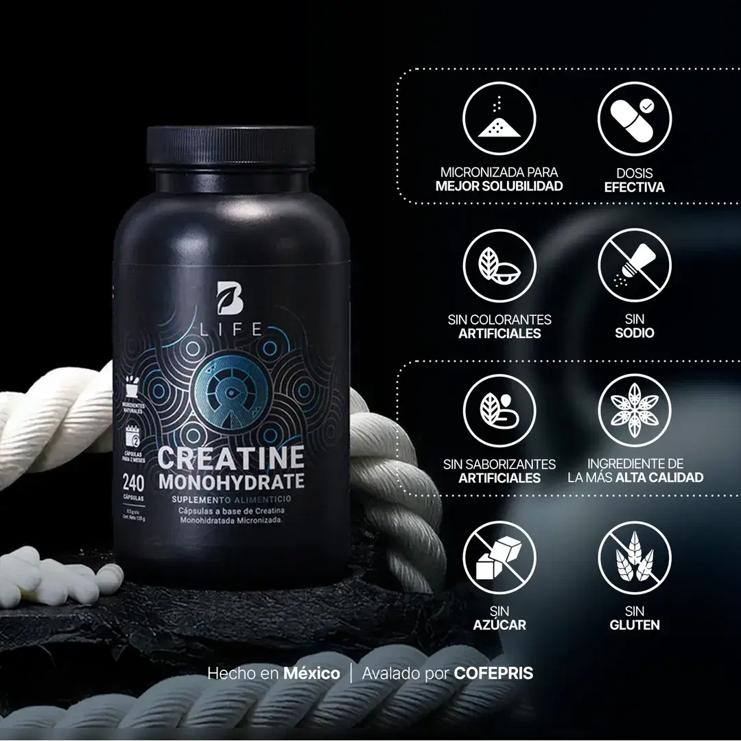 Imagen de Creatina Monohidratada Micronizada | 240 Cápsulas | Alta Pureza