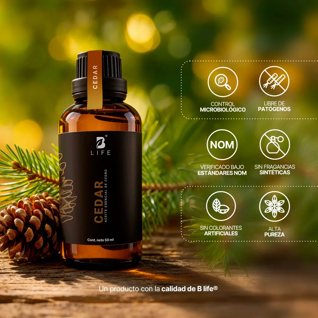 Imagen de Essential Oil Cedar | Aceite Esencial Cedro 50 ml