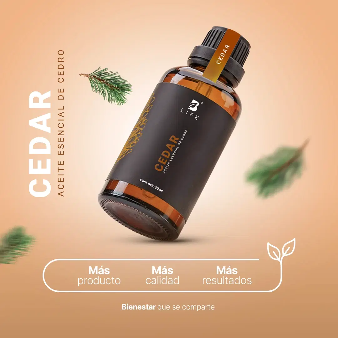 Imagen de Essential Oil Cedar | Aceite Esencial Cedro 50 ml