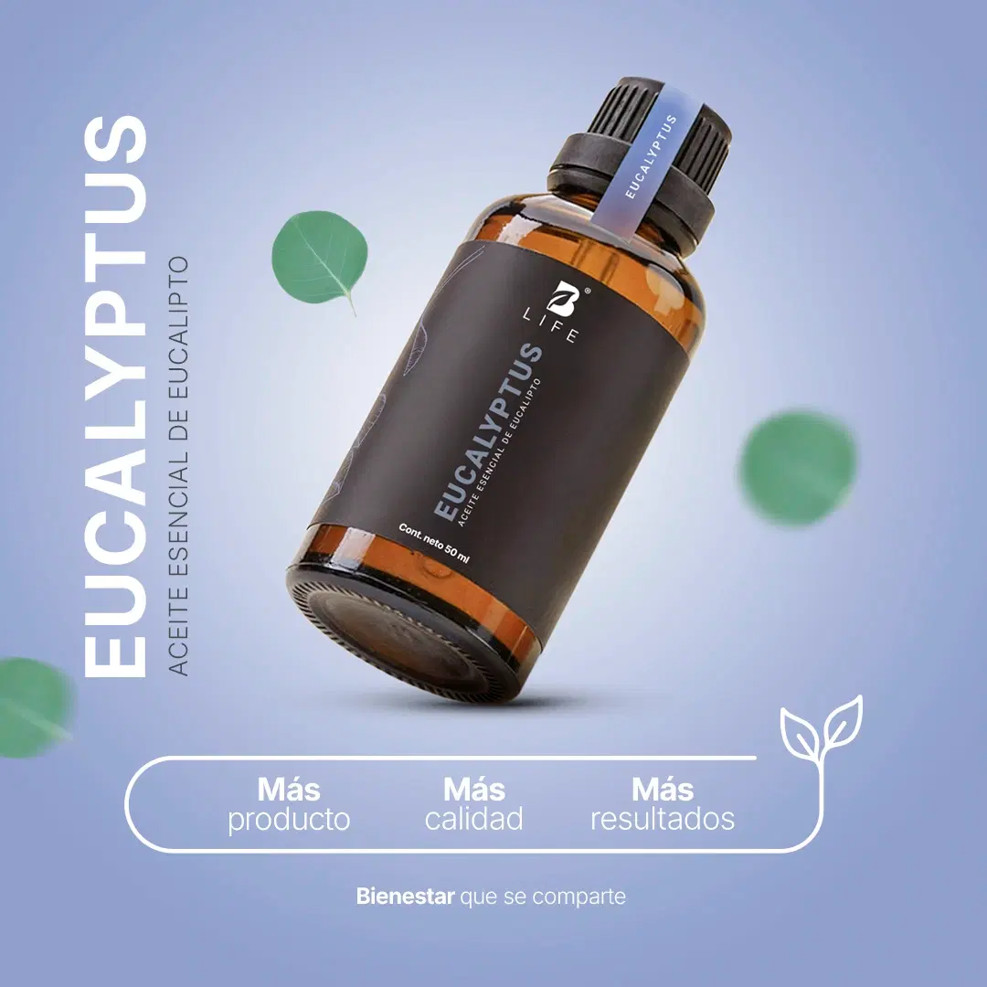 Imagen de Essential Oil Eucalyptus | Aceite Esencial Eucalipto 50 ml | Grado alimenticio