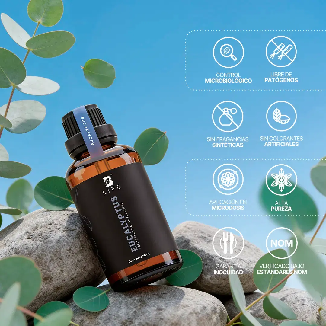 Imagen de Essential Oil Eucalyptus | Aceite Esencial Eucalipto 50 ml | Grado alimenticio