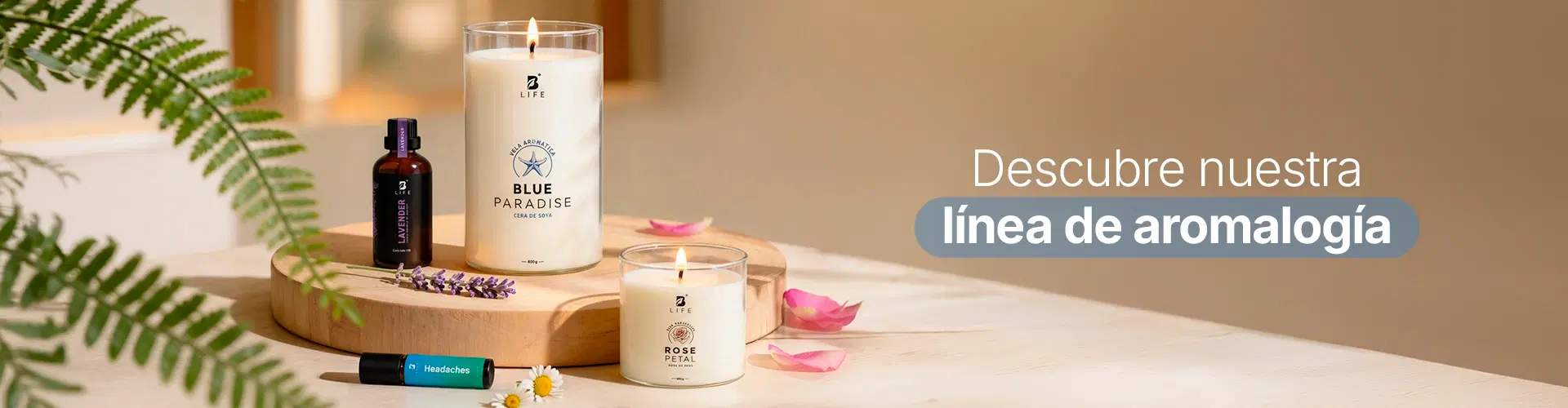 Descubre más productos para tu bienestar Descubre más productos para tu bienestar