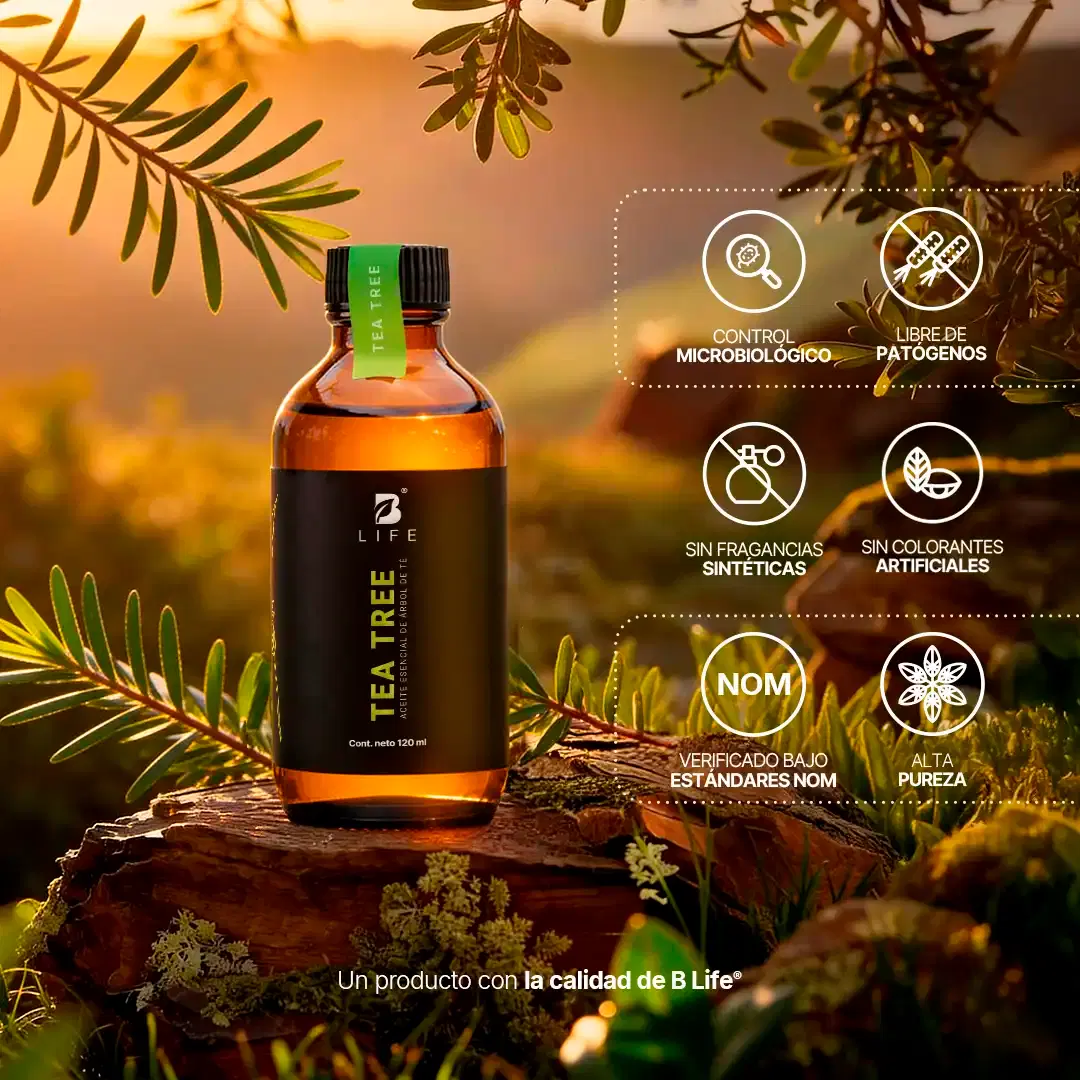 Imagen de Essential Oil Tea Tree | Aceite Esencial Árbol de Té 50 y 120 ml