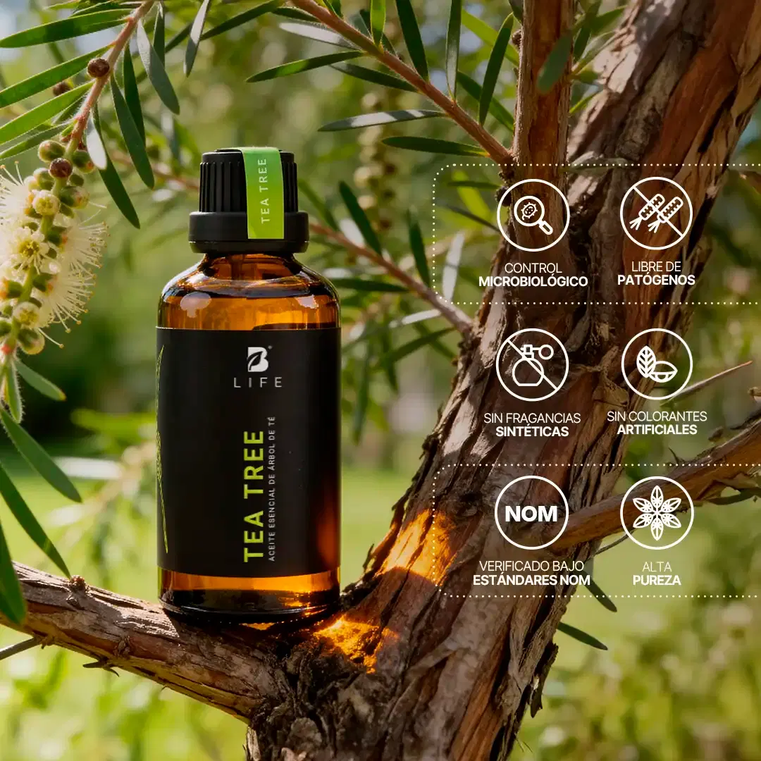 Imagen de Essential Oil Tea Tree | Aceite Esencial Árbol de Té 50 y 120 ml