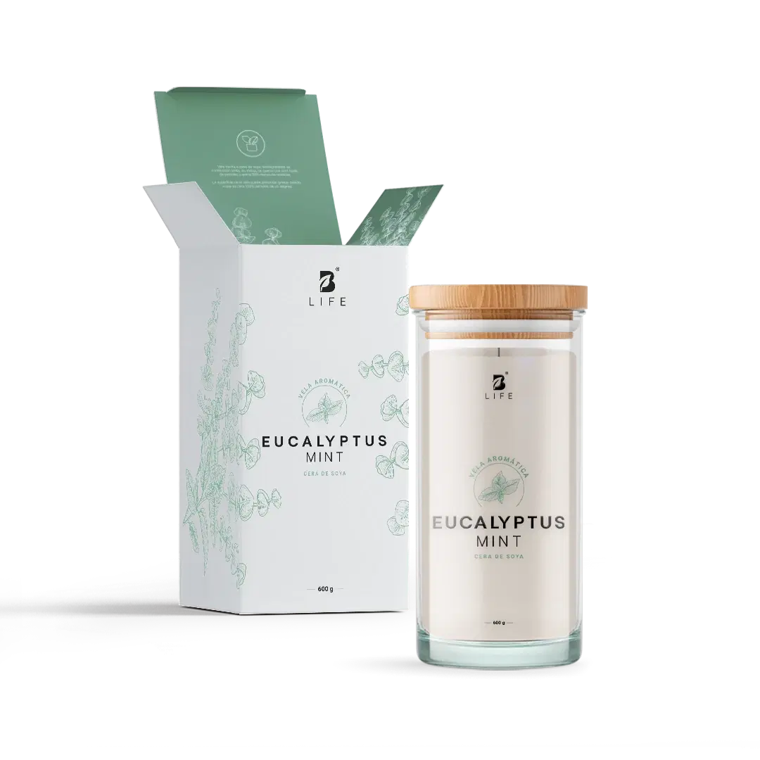 Imagen de Eucalyptus Mint Aromatic Candle | Vela Aromática Eucalipto y Menta 600 g