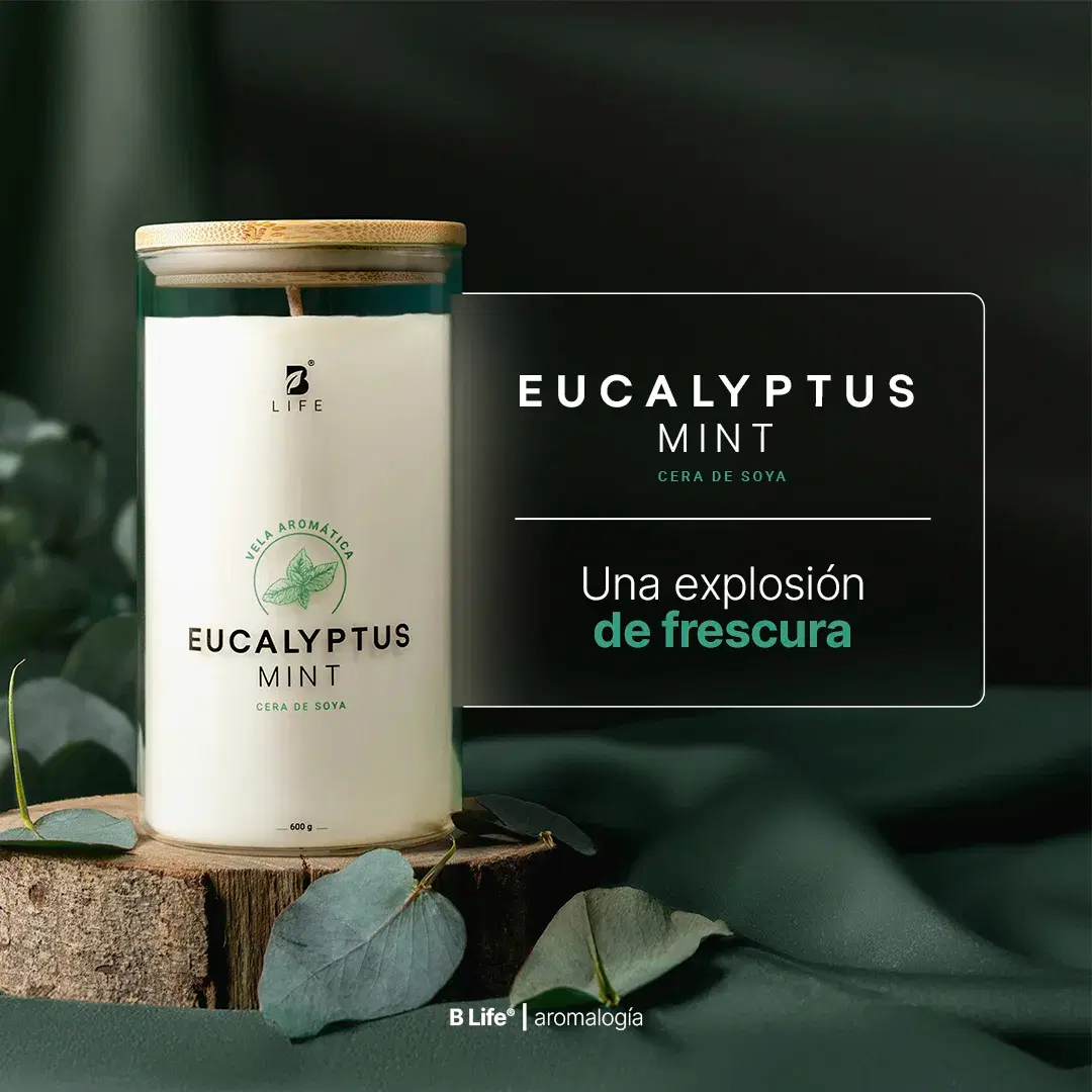 Imagen de Eucalyptus Mint Aromatic Candle | Vela Aromática Eucalipto y Menta 600 g