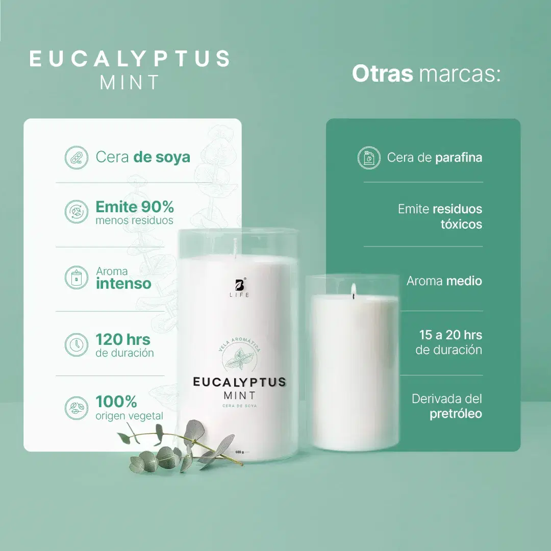 Imagen de Eucalyptus Mint Aromatic Candle | Vela Aromática Eucalipto y Menta 600 g