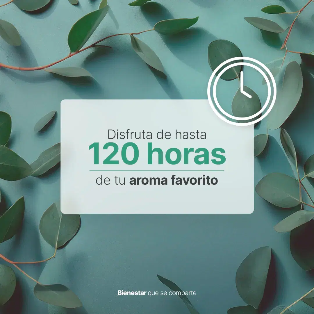 Imagen de Eucalyptus Mint Aromatic Candle | Vela Aromática Eucalipto y Menta 600 g