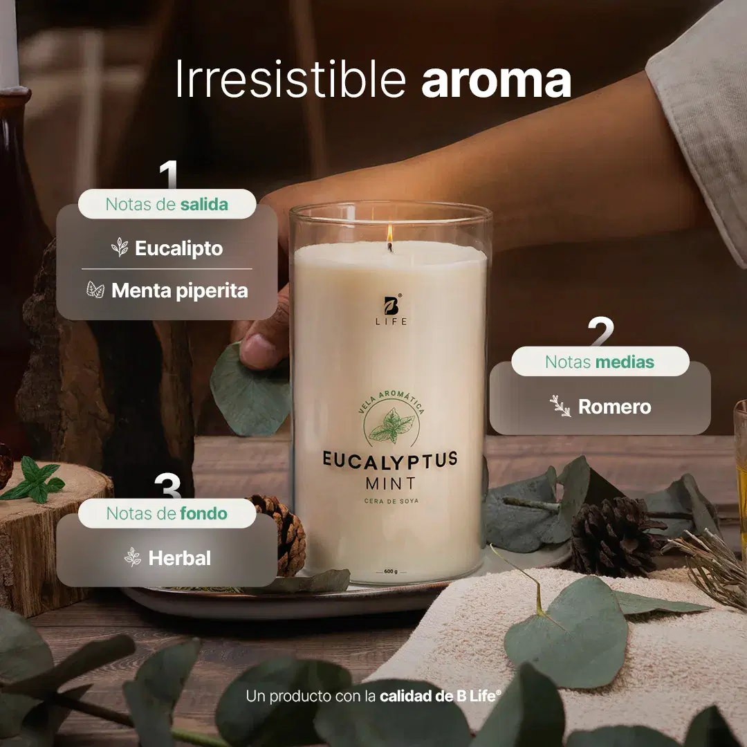 Imagen de Eucalyptus Mint Aromatic Candle | Vela Aromática Eucalipto y Menta 600 g