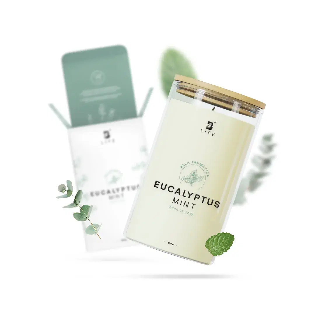 Imagen de Eucalyptus Mint Aromatic Candle | Vela Aromática Eucalipto y Menta 600 g