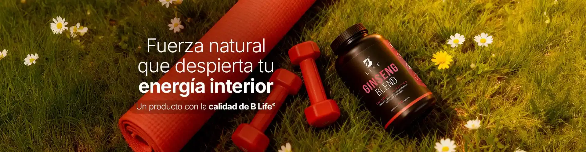 Descubre más productos para tu bienestar Descubre más productos para tu bienestar