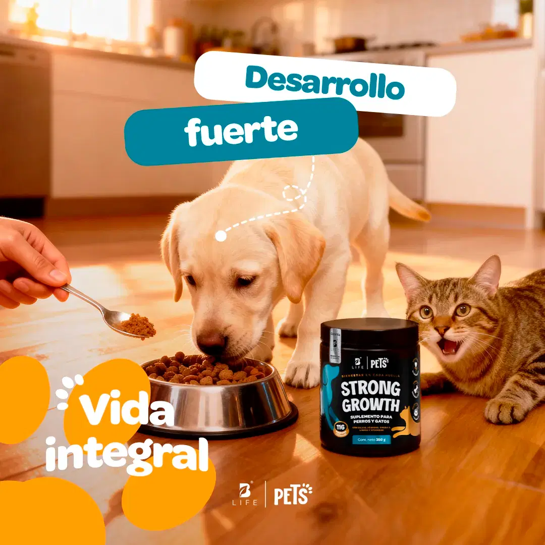 Imagen de Suplemento para Perros y Gatos | Adicionado con Omega 3, Vitaminas y Minerales | 350 g | Sabor Res
