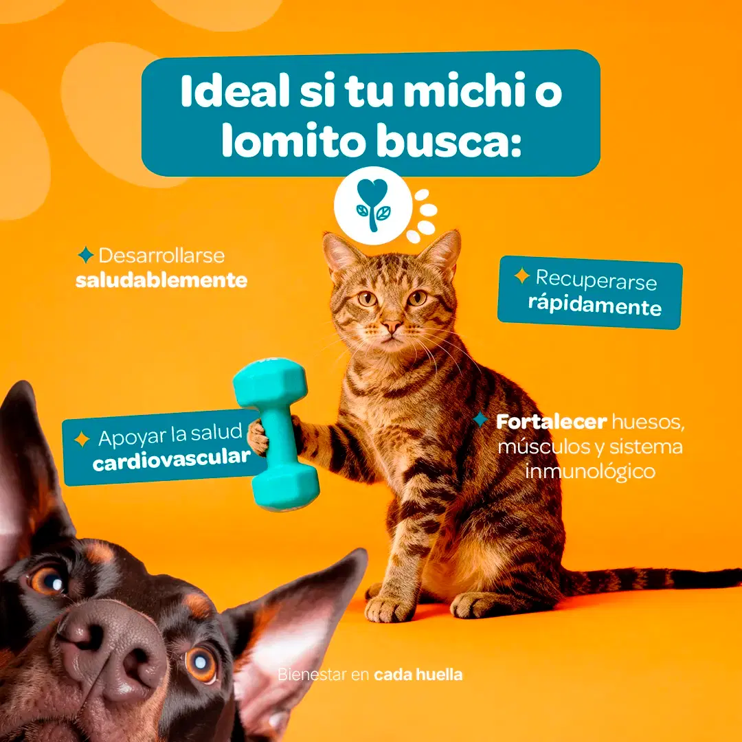 Imagen de Suplemento para Perros y Gatos | Adicionado con Omega 3, Vitaminas y Minerales | 350 g | Sabor Res