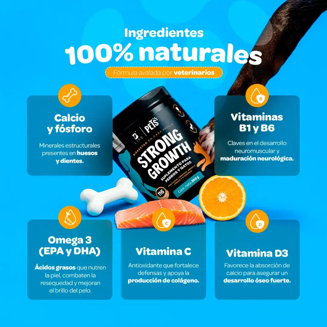 Imagen de Suplemento para Perros y Gatos | Adicionado con Omega 3, Vitaminas y Minerales | 350 g | Sabor Res
