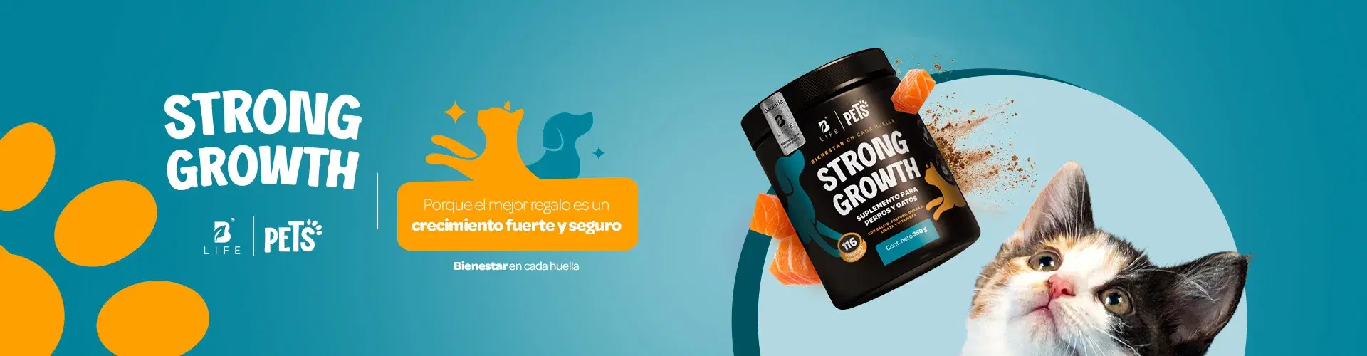 Descubre más productos para tu bienestar Descubre más productos para tu bienestar