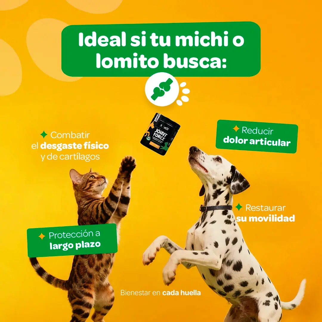 Imagen de Suplemento Articular en Polvo para Perros y Gatos | Con MSM, Colágeno, Omega 3 y Extractos Naturales | 350 g | Sabor Res