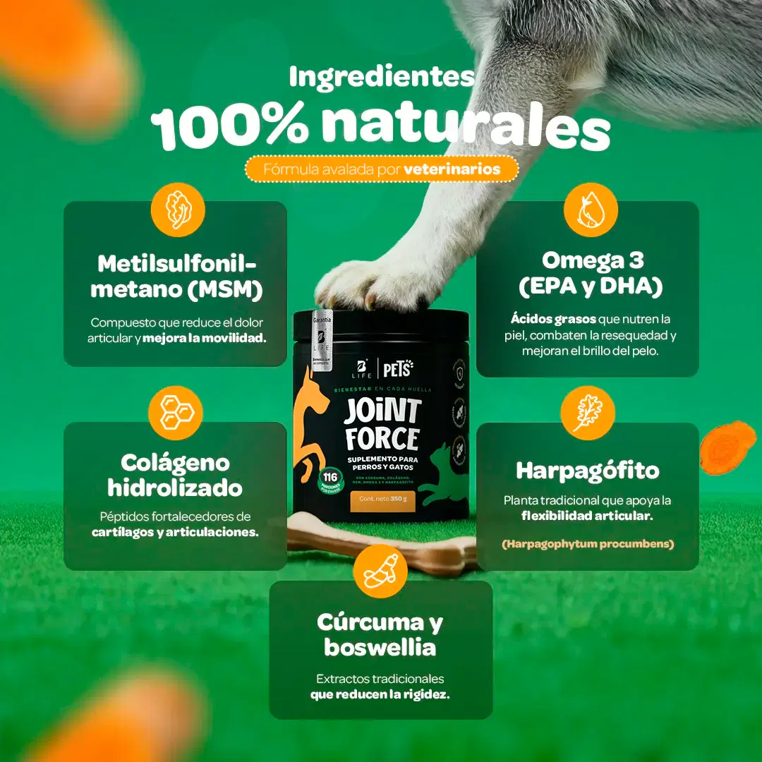 Imagen de Suplemento Articular en Polvo para Perros y Gatos | Con MSM, Colágeno, Omega 3 y Extractos Naturales | 350 g | Sabor Res