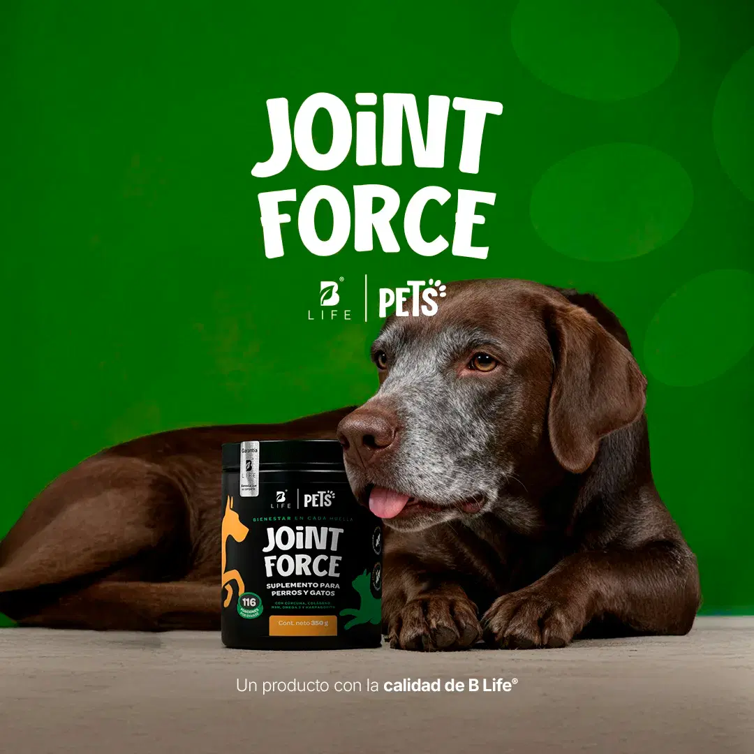Imagen de Suplemento Articular en Polvo para Perros y Gatos | Con MSM, Colágeno, Omega 3 y Extractos Naturales | 350 g | Sabor Res