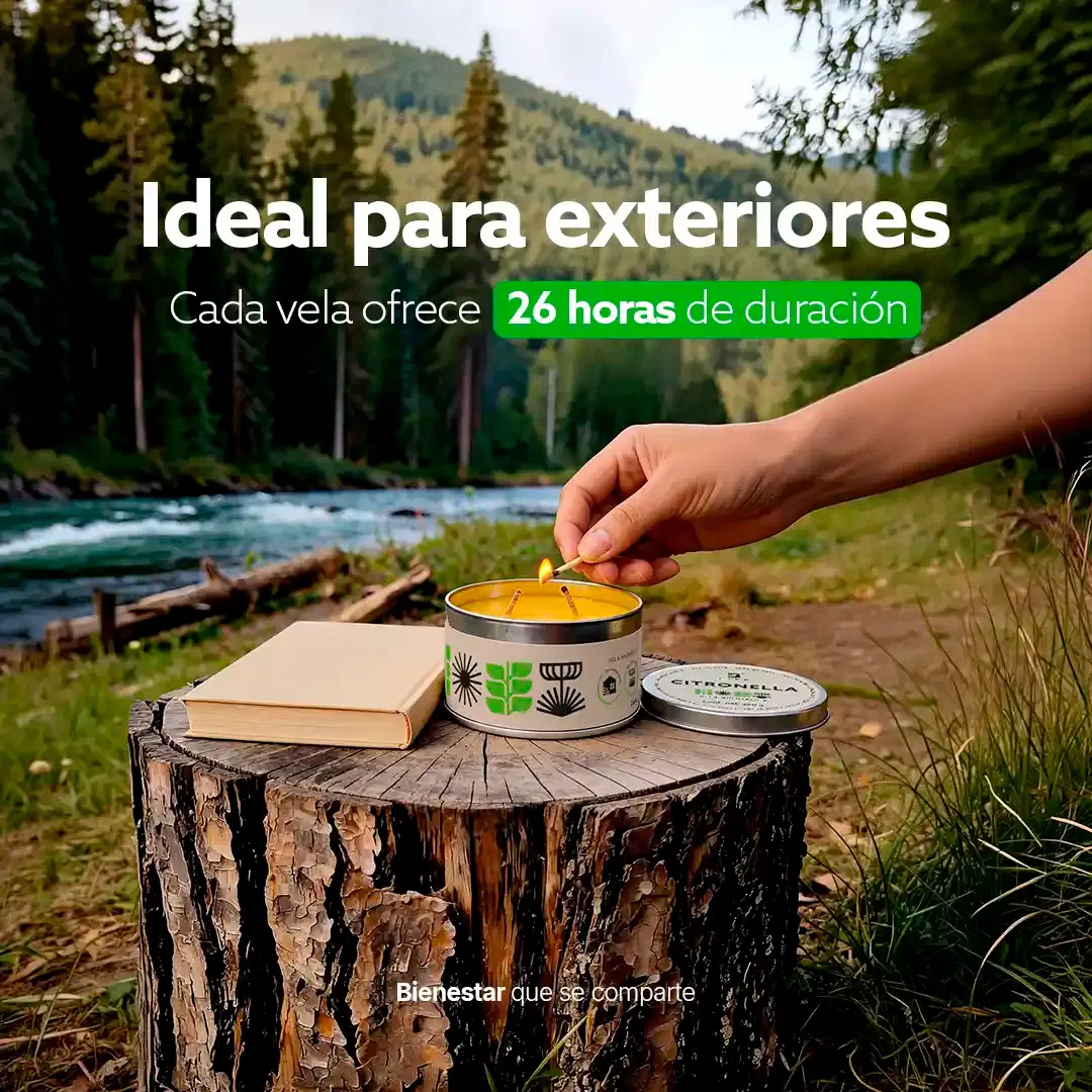 Imagen de Velas de Soya con Citronela | Kit 2 Piezas 260 g | Aroma Natural para Interior y Exterior