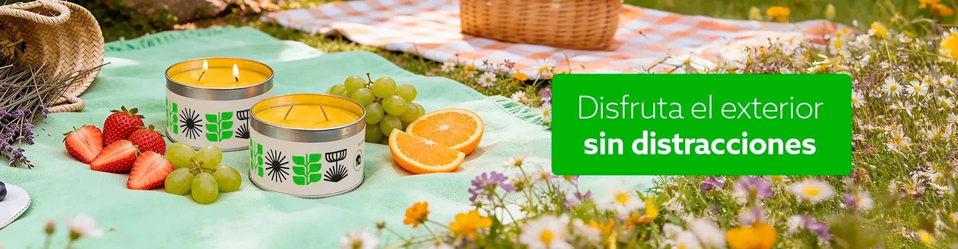 Descubre más productos para tu bienestar Descubre más productos para tu bienestar