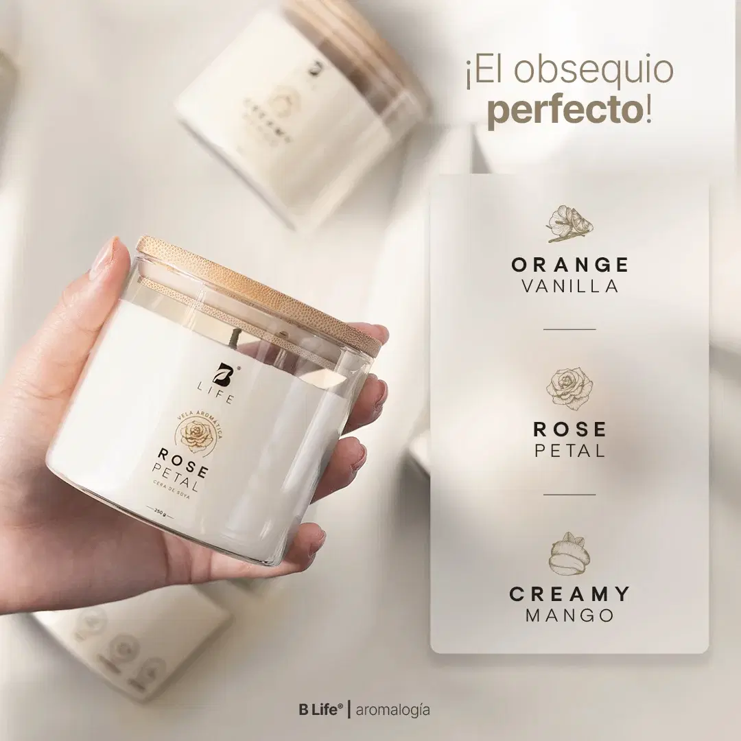 Imagen de Kit de 3 Velas Summer Dreams 250 g c/u