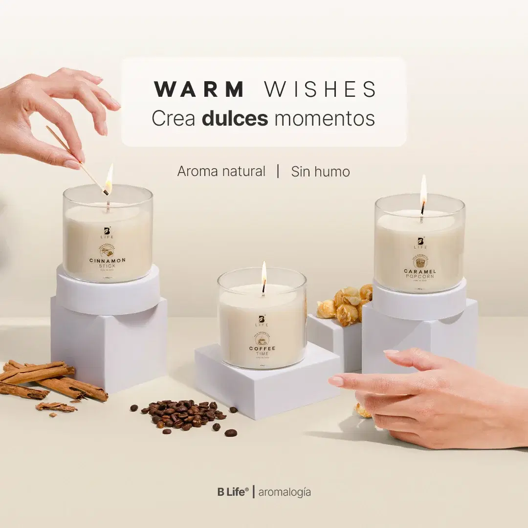 Imagen de Kit de 3 Velas Warm Wishes 250 g c/u