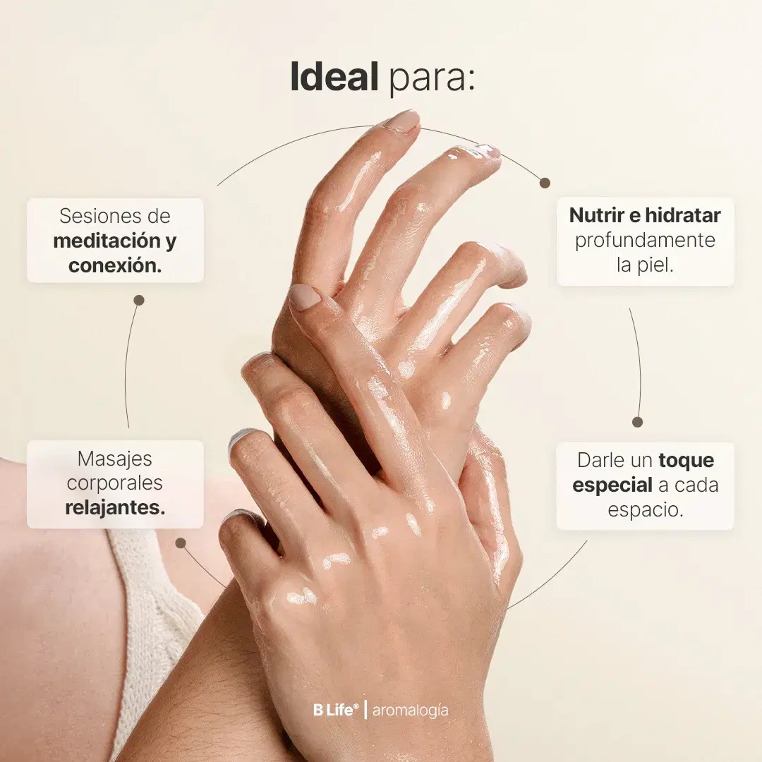 Imagen de Kit de 3 Velas Warm Wishes 250 g c/u