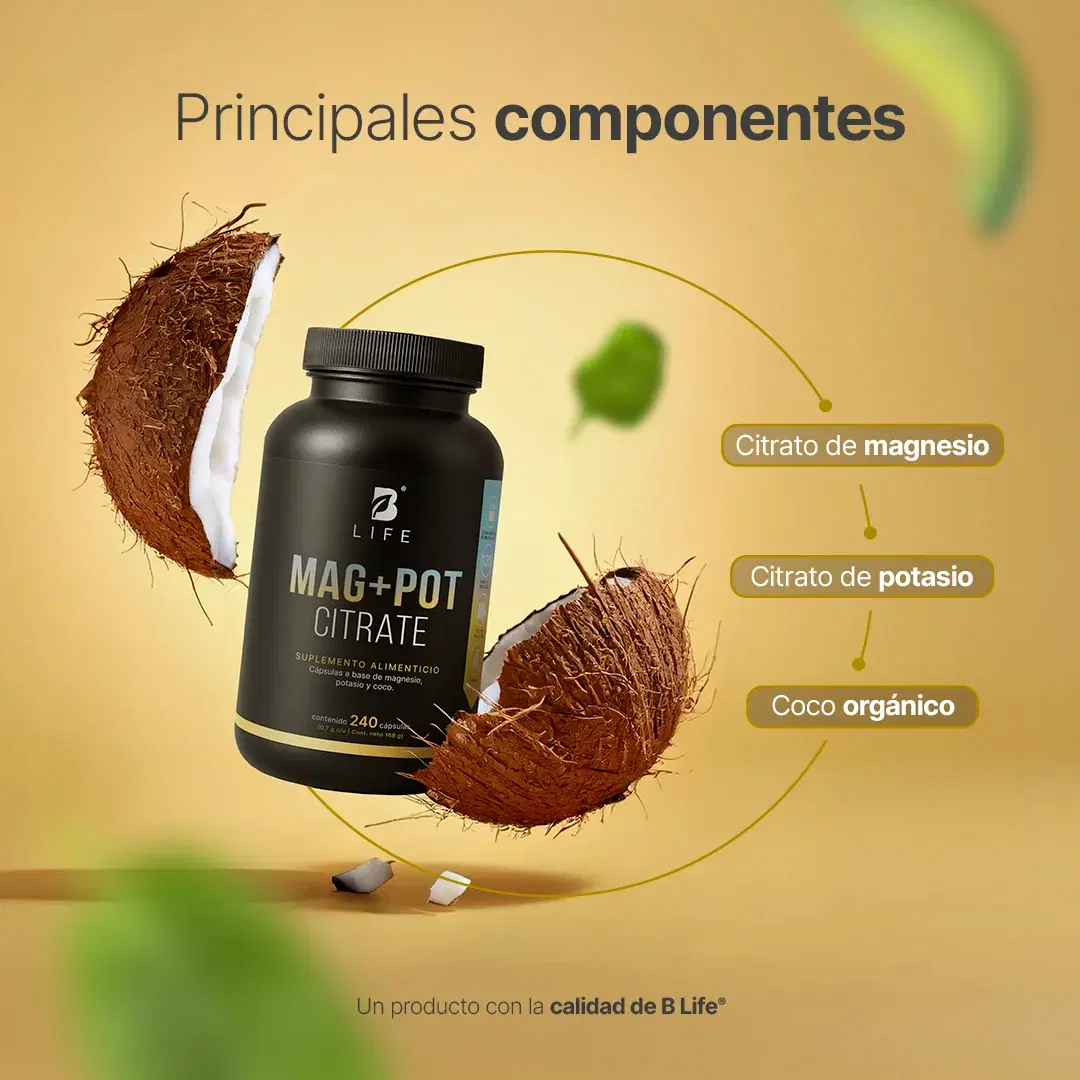 Imagen de Magnesio y Potasio | Adicionado con coco orgánico | 240 Cápsulas | 1400 mg por porción