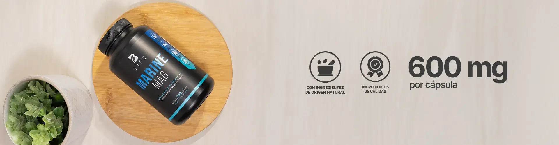 Descubre más productos para tu bienestar Descubre más productos para tu bienestar